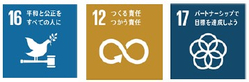 SDGs 16 12 17