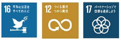 SDGs 16 12 17 
