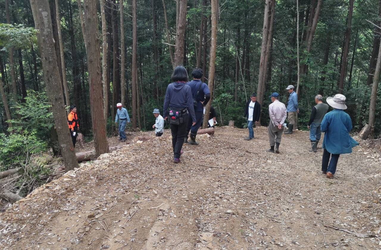 woody road 01