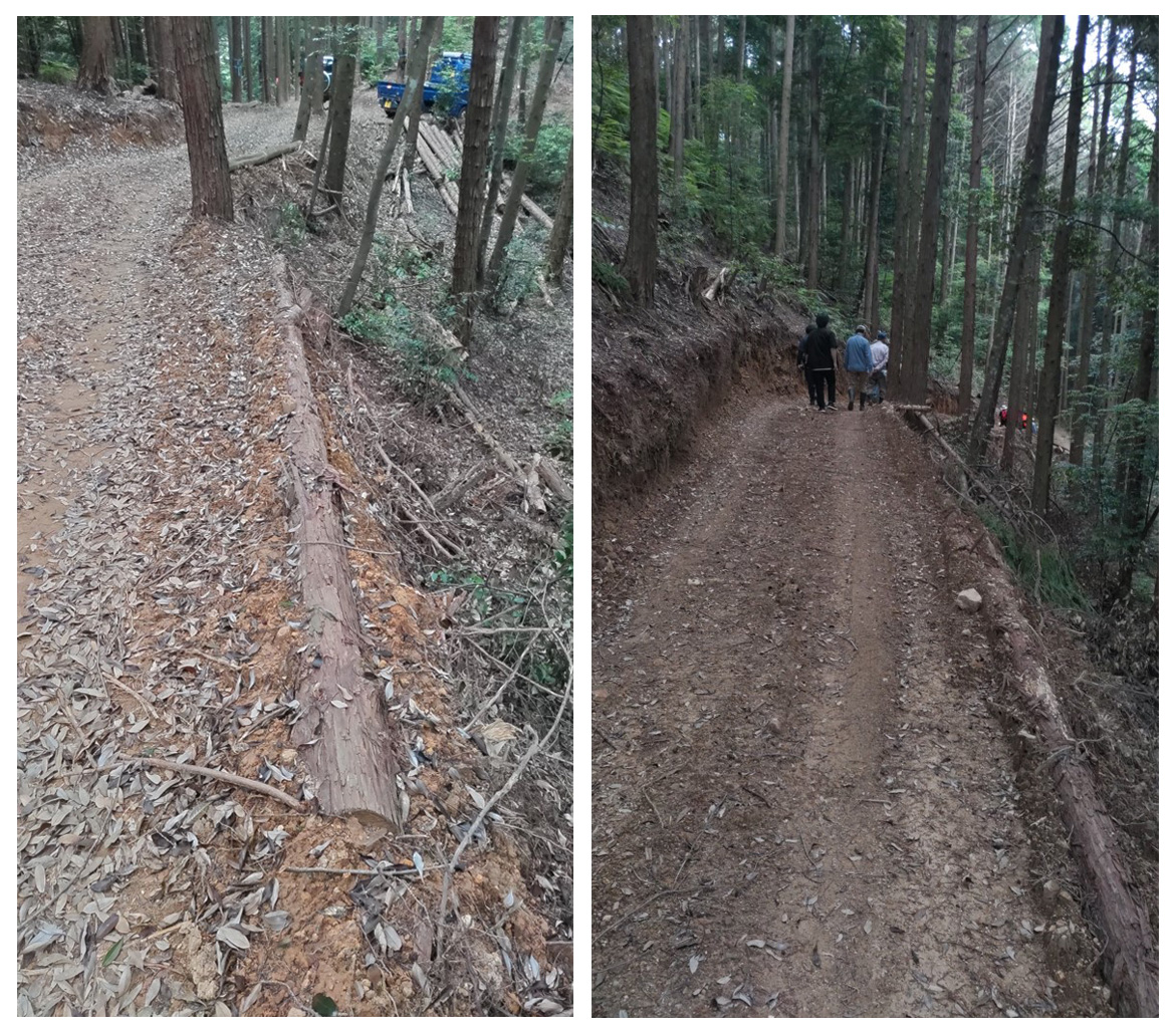 woody road 06 