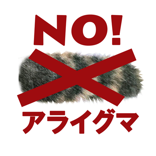 araiguma logo