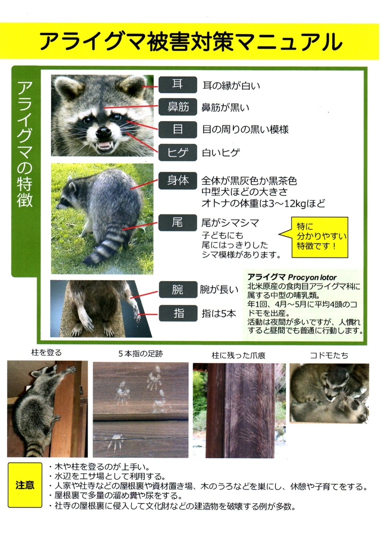 araiguma manual