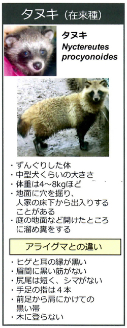 araiguma manual page2 1