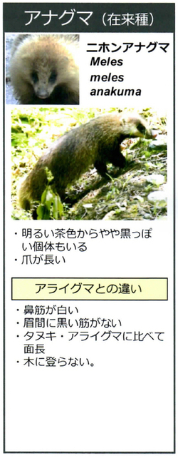 araiguma manual page2 2