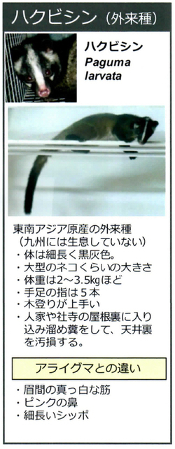 araiguma manual page2 3